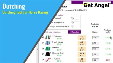 ace odds calculator dutching